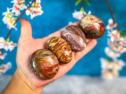 Petrified Wood Palm Stone (ONLINE ORDER ONLY)