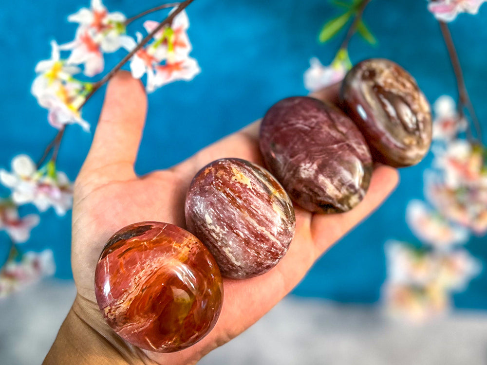 Petrified Wood Palm Stone (ONLINE ORDER ONLY)