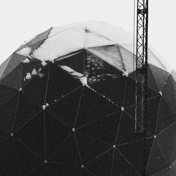 Array [Vinyl] (ONLINE ORDER ONLY)