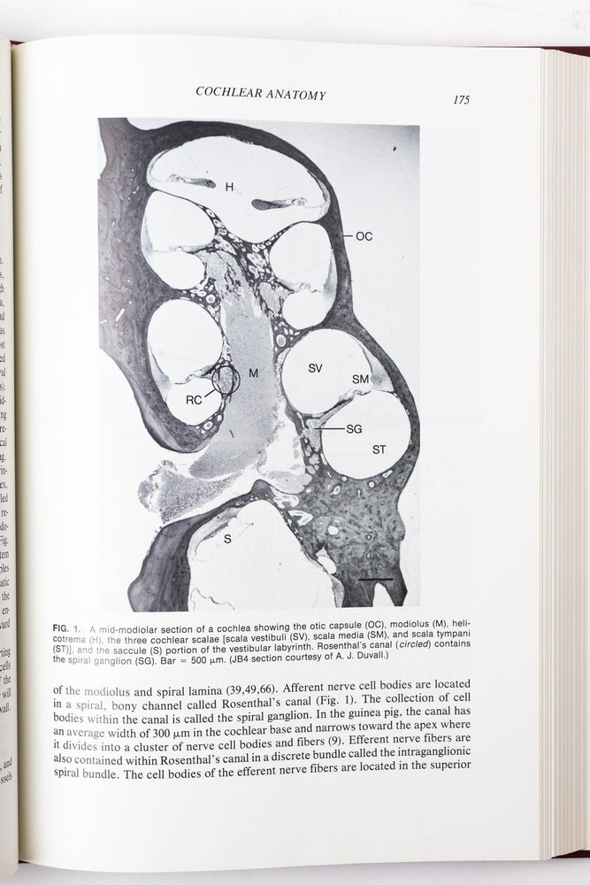 Physiology of the Ear (ONLINE ORDER ONLY)