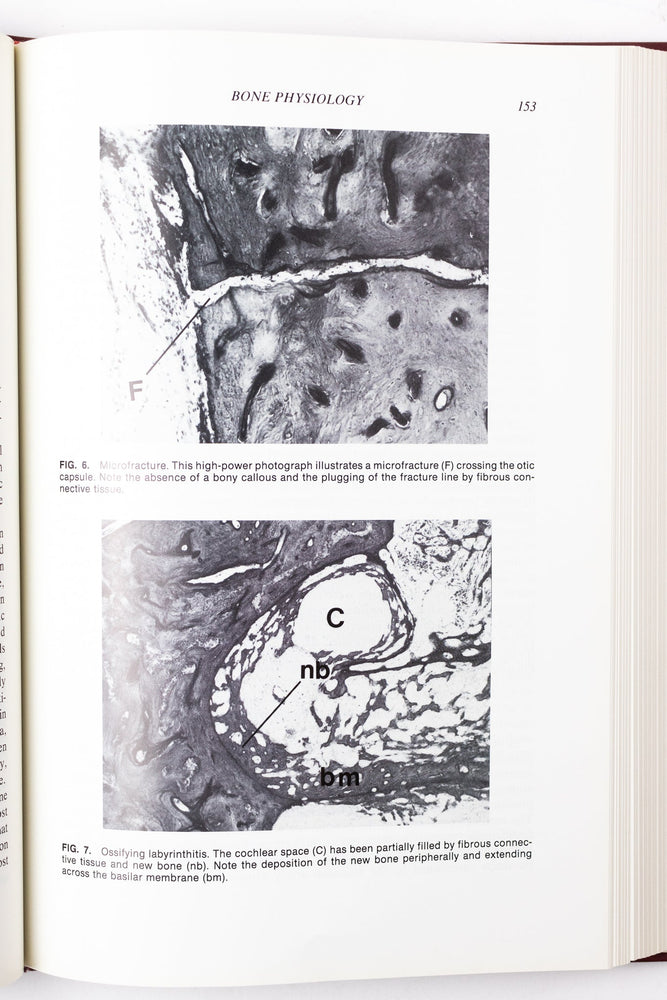 Physiology of the Ear (ONLINE ORDER ONLY)
