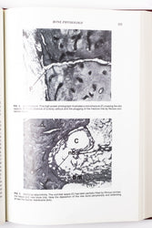 Physiology of the Ear (ONLINE ORDER ONLY)