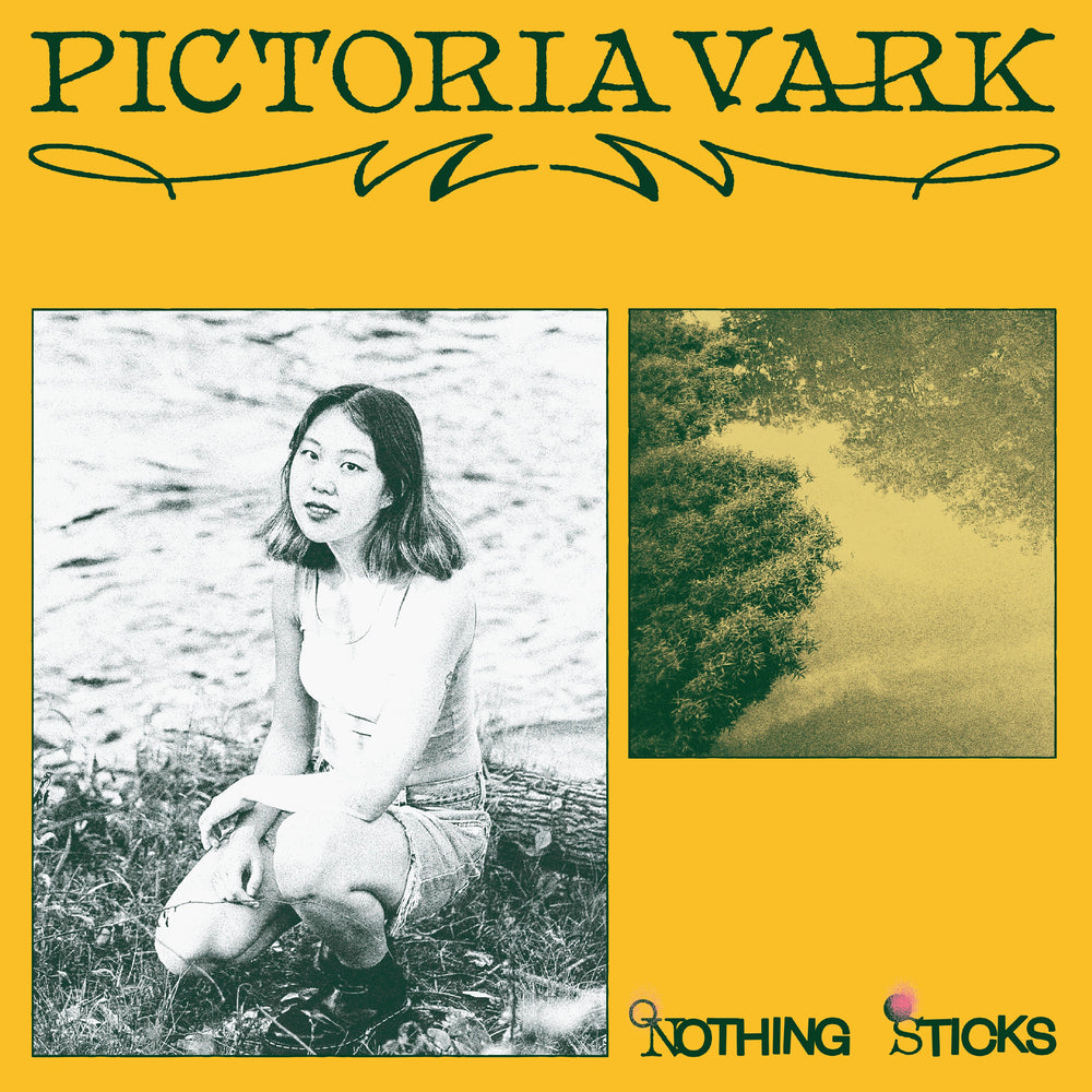 Nothing Sticks [Vinyl]