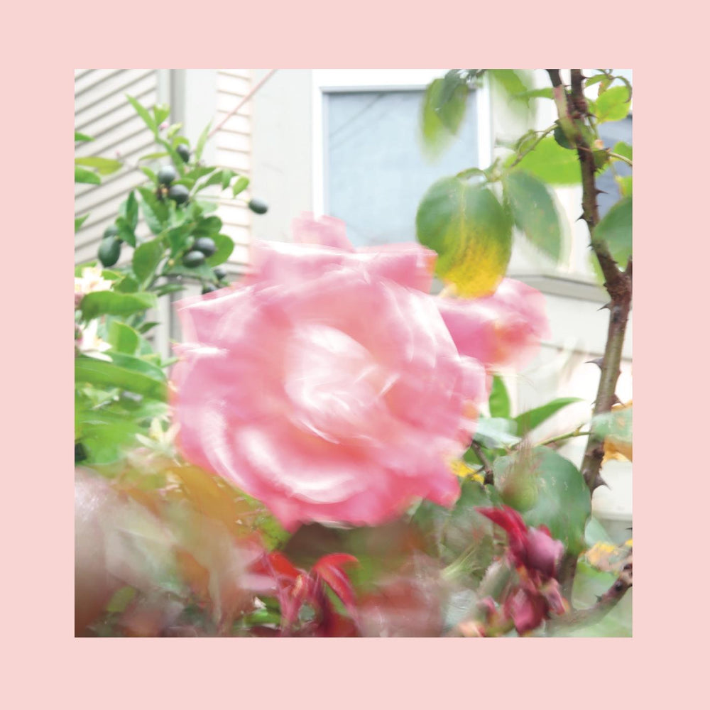 Summer At Land's End [CD] (ONLINE ORDER ONLY)