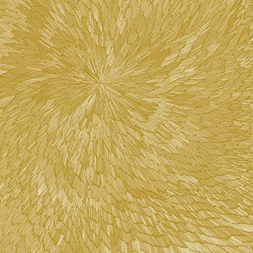 PJEV/Kit Downes/Hayden Chisholm - Medna Roso [LP] [Vinyl]