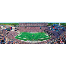 New England Patriots - 1000 Piece Panoramic Jigsaw Puzzle (ONLINE ORDER ONLY)