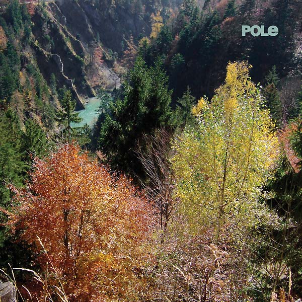 POLE - Wald [CD] (ONLINE ORDER ONLY)