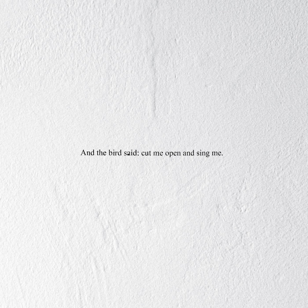 And the Bird Said: Cut Me Open and Sing Me [CD] (ONLINE ORDER ONLY)