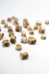 Prehistoric Shark Vertebrae Fossil (ONLINE ORDER ONLY)