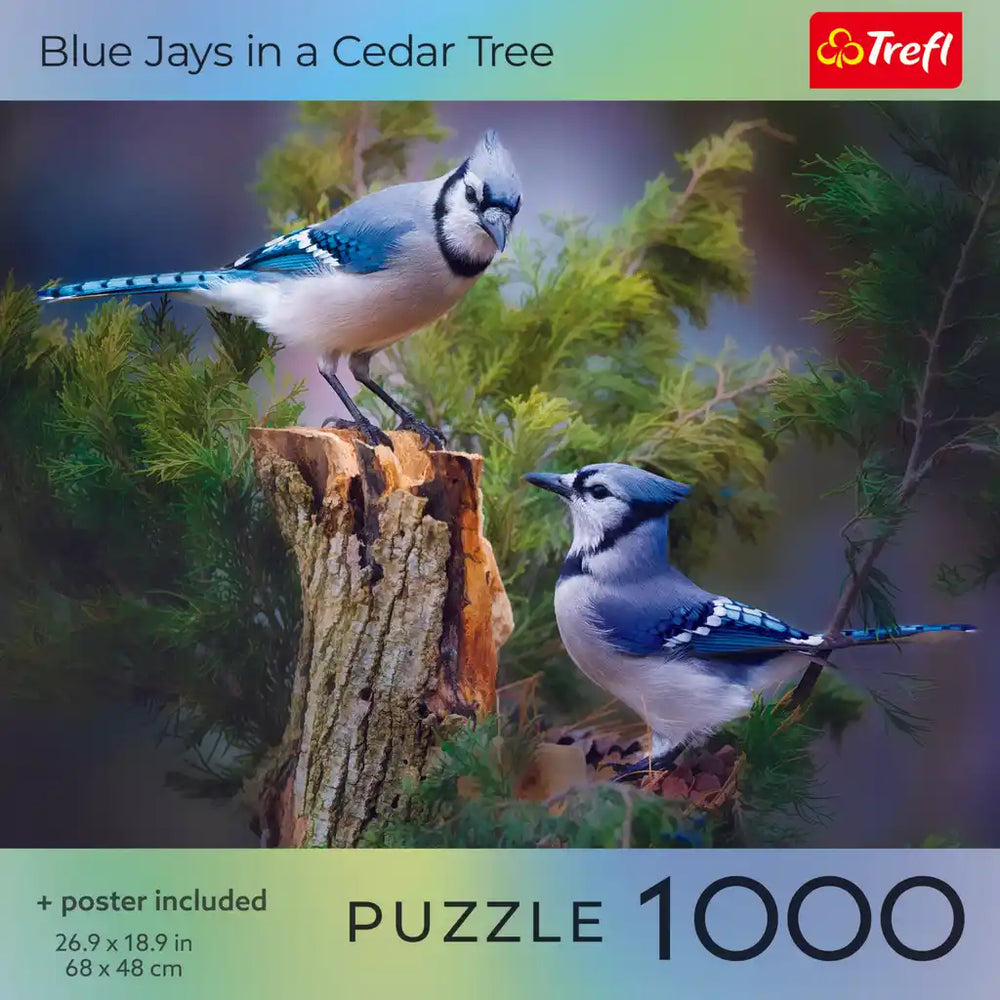 Trefl Bird Lovers: Blue Jays in a Cedar Tree 1000 Piece Puzzle (ONLINE ORDER ONLY)