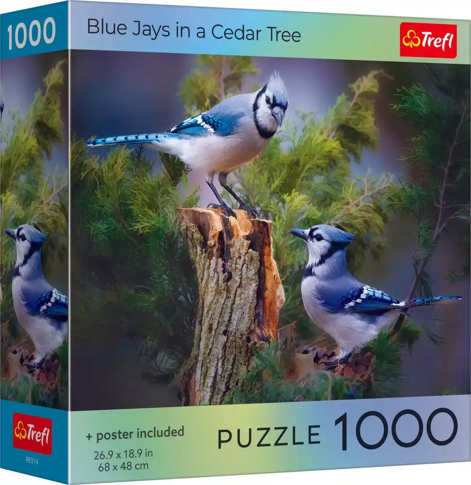 Trefl Bird Lovers: Blue Jays in a Cedar Tree 1000 Piece Puzzle (ONLINE ORDER ONLY)