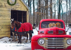 Trefl Country Christmas 1000 Piece Puzzle (ONLINE ORDER ONLY)