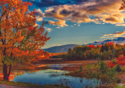 Trefl Fall in Acadia National Park 1000 Piece Puzzle (ONLINE ORDER ONLY)