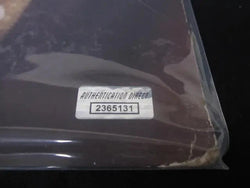 Bruce Springsteen "Innocent & The E Street Shuffle" Signed Album Direct COA (Online Order Only)