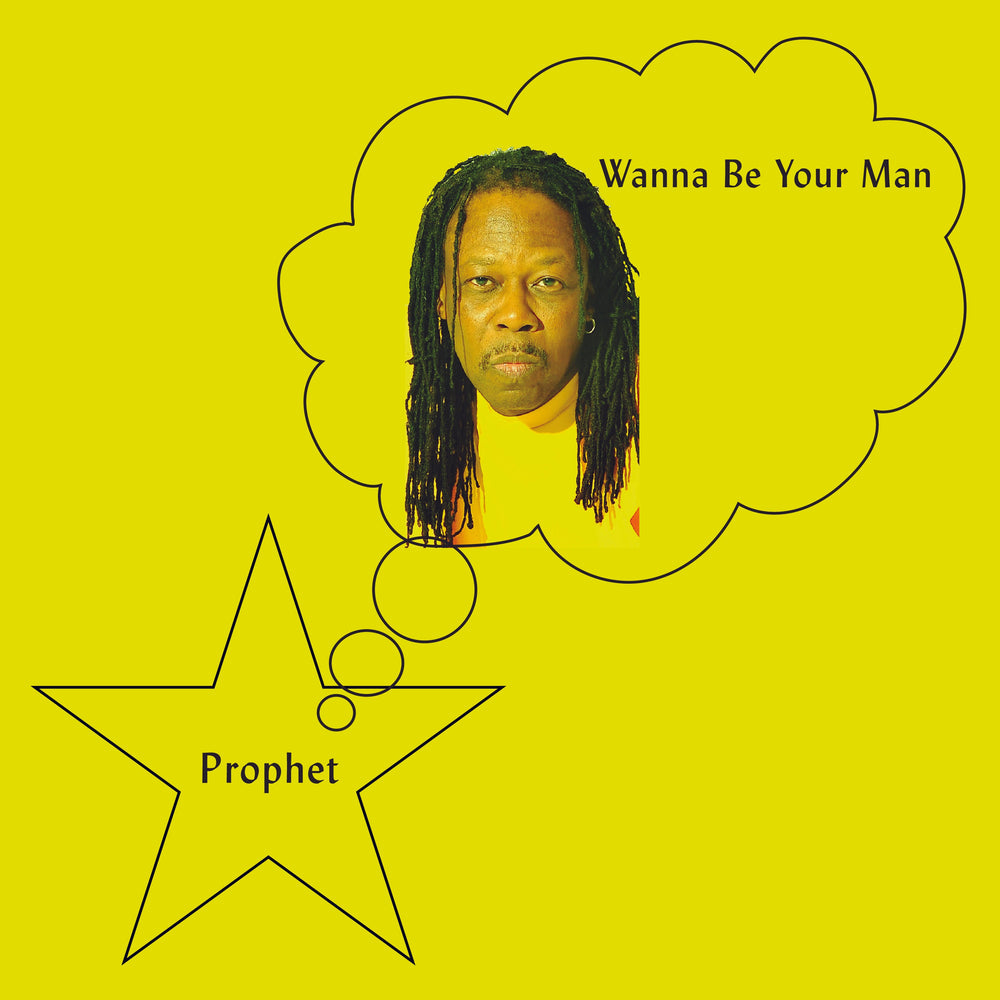 Wanna Be Your Man [Vinyl]