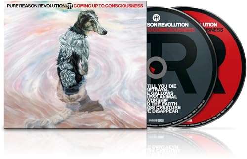 Coming Up To Consciousness [CD] (ONLINE ORDER ONLY)