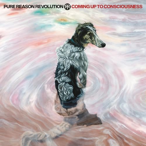 Coming Up To Consciousness [CD] (ONLINE ORDER ONLY)