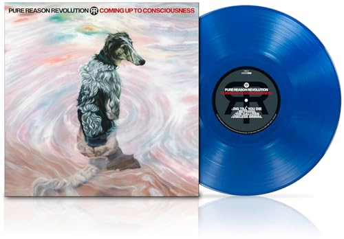 Coming Up To Consciousness [Vinyl] (ONLINE ORDER ONLY)