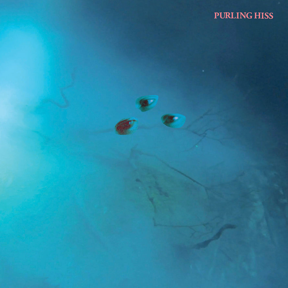 Purling Hiss - High Bias [CD] (ONLINE ORDER ONLY)