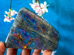Purple Labradorite Crystal Freeform, Rainbow Labradorite, White Labradorite (ONLINE ORDER ONLY)