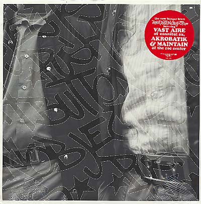 PUSH BUTTON OBJECTS - Fly (You Ain't) [Vinyl] (ONLINE ORDER ONLY)
