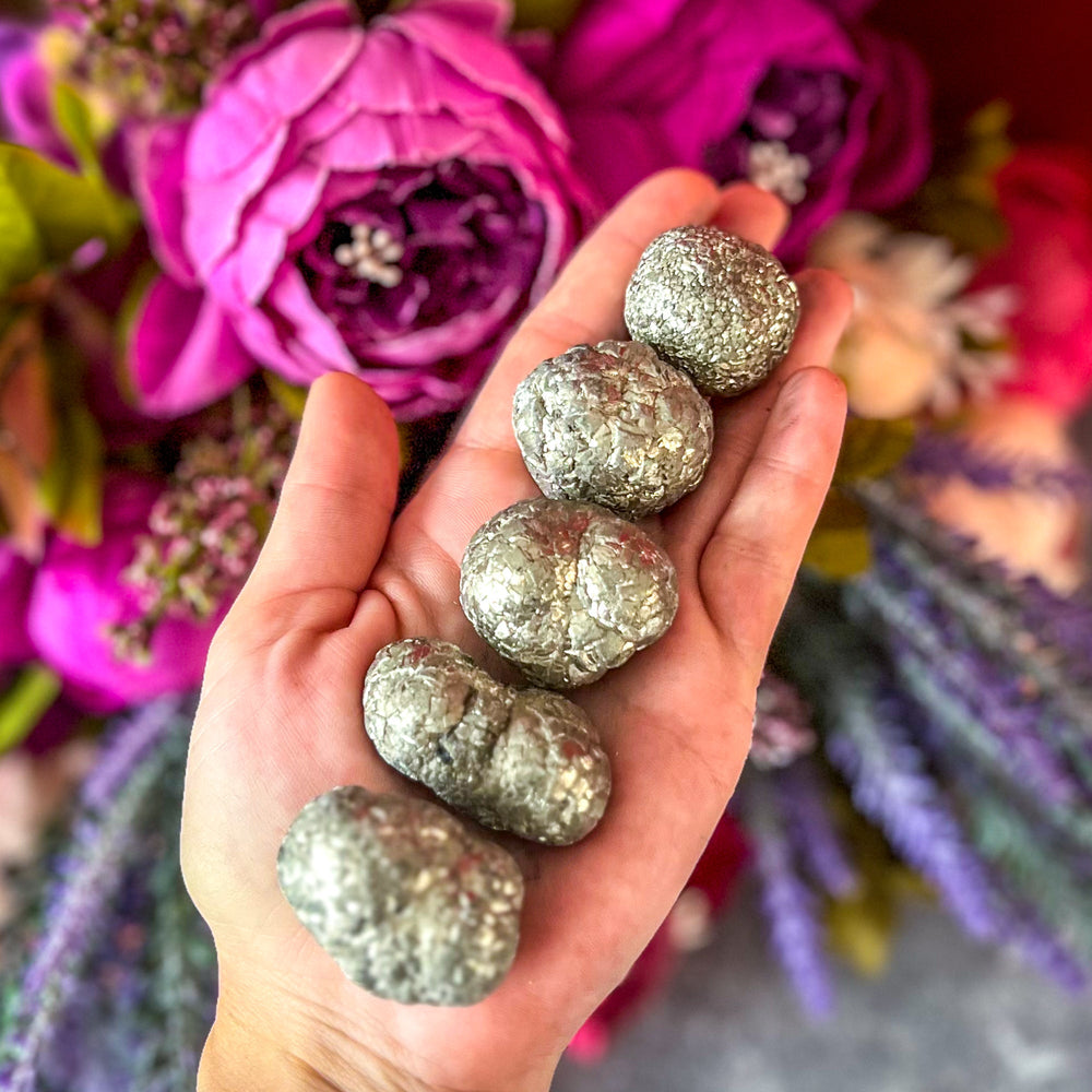 Pyrite Nodules, Rare Formation (ONLINE ORDER ONLY)