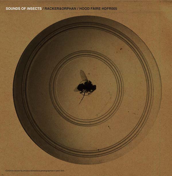RACKER & ORPHAN - Sounds of Insects [Vinyl] (ONLINE ORDER ONLY)