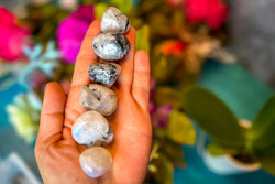 Tumbled RAINBOW Moonstone (ONLINE ORDER ONLY)