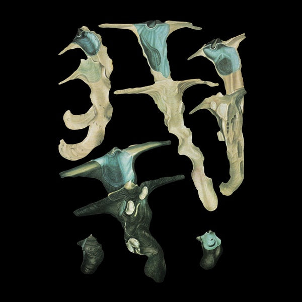Jellyfish Reproduce Black Magic [Vinyl] (ONLINE ORDER ONLY)