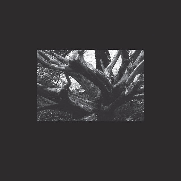 R.A.N. - Seb-i Yelda [Vinyl] (ONLINE ORDER ONLY)