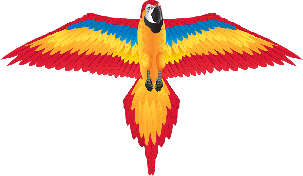 FantasyFliers Red Macaw Nylon Kite, 70 Inches Wide (ONLINE ORDER ONLY)