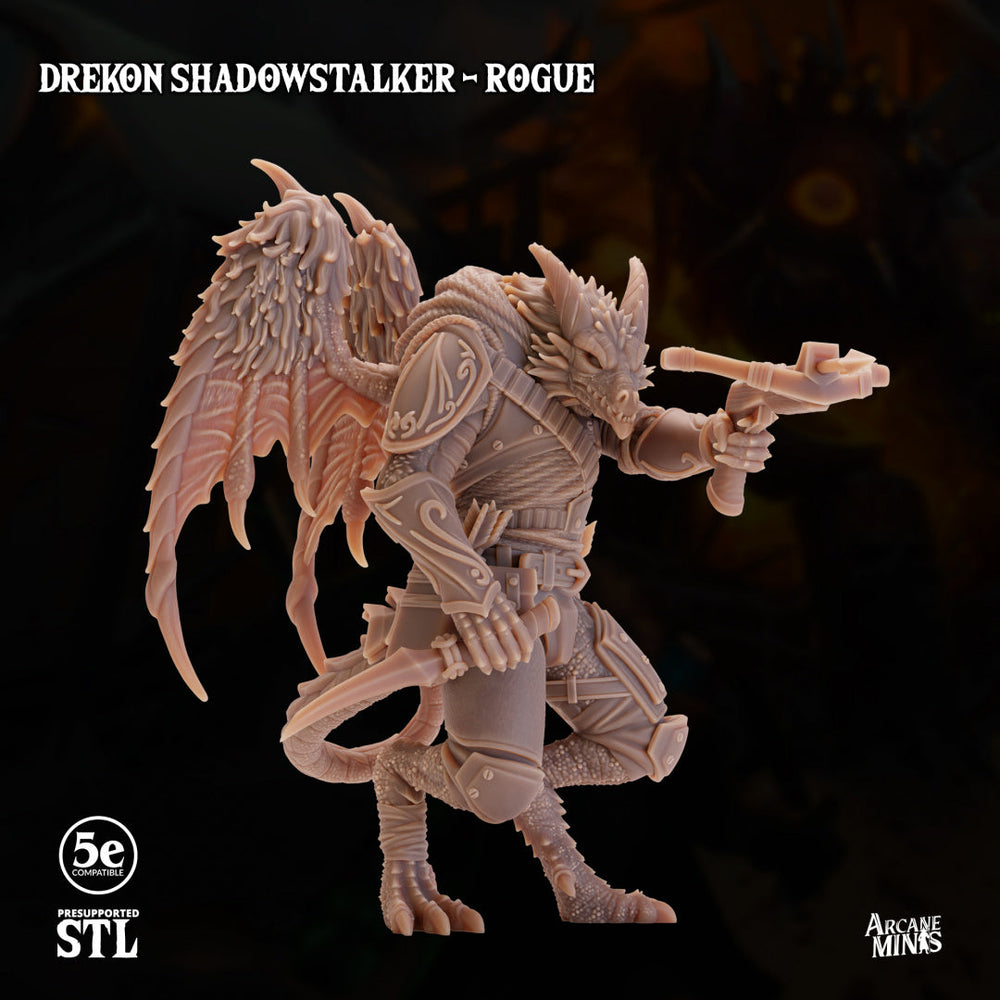 3D Printed Sordane Publishing Drekon Shadowstalker Rogue Set 28 32mm D&D (Online Only)