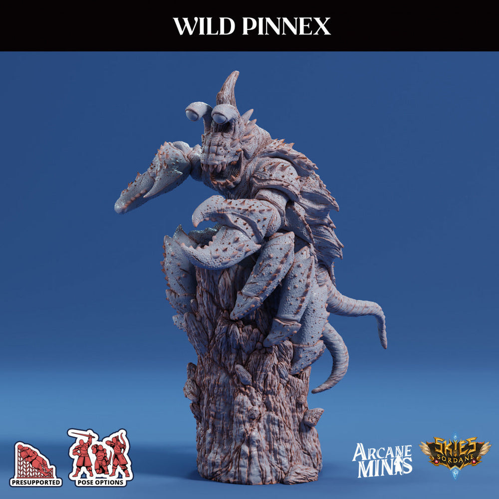 3D Printed Sordane Publishing Arcane Minis Wild Pinnex Mighty Skies A Sordane Stories Set 28 32mm D&D (Online Only)