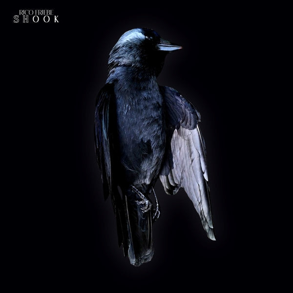 Shook [CD] (ONLINE ORDER ONLY)