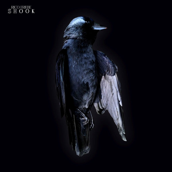 Shook [Vinyl] (ONLINE ORDER ONLY)