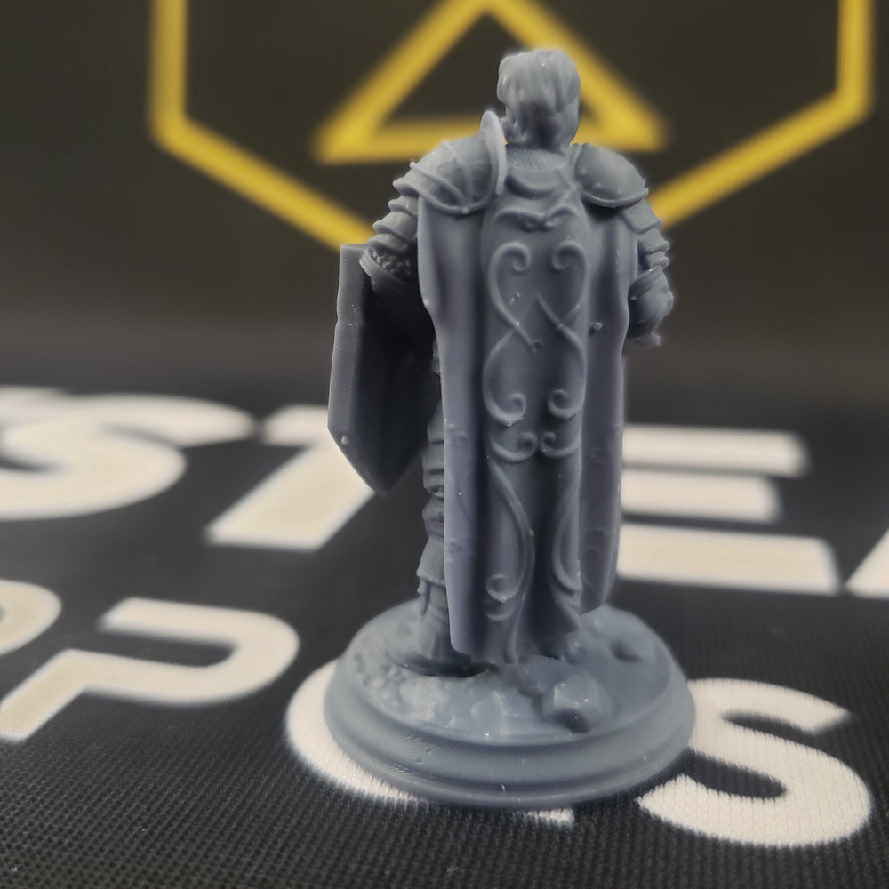 Arion Midrun, Battle Master (Male Human Fighter) (Online Only)