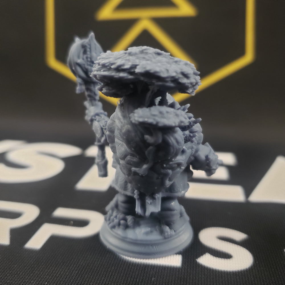 Elki, the Wanderer (Male Tortle Cleric) (Online Order Only)
