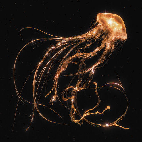 Back To The Water Below [CD] (ONLINE ORDER ONLY)