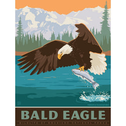 Bald Eagle 300 Piece Jigsaw Puzzle (ONLINE ORDER ONLY)