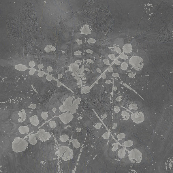 Music For Melted Floors [Vinyl] (ONLINE ORDER ONLY)