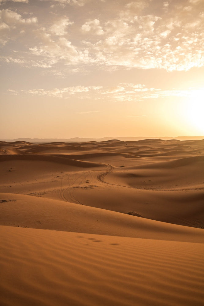 Saharan Sand (ONLINE ORDER ONLY)