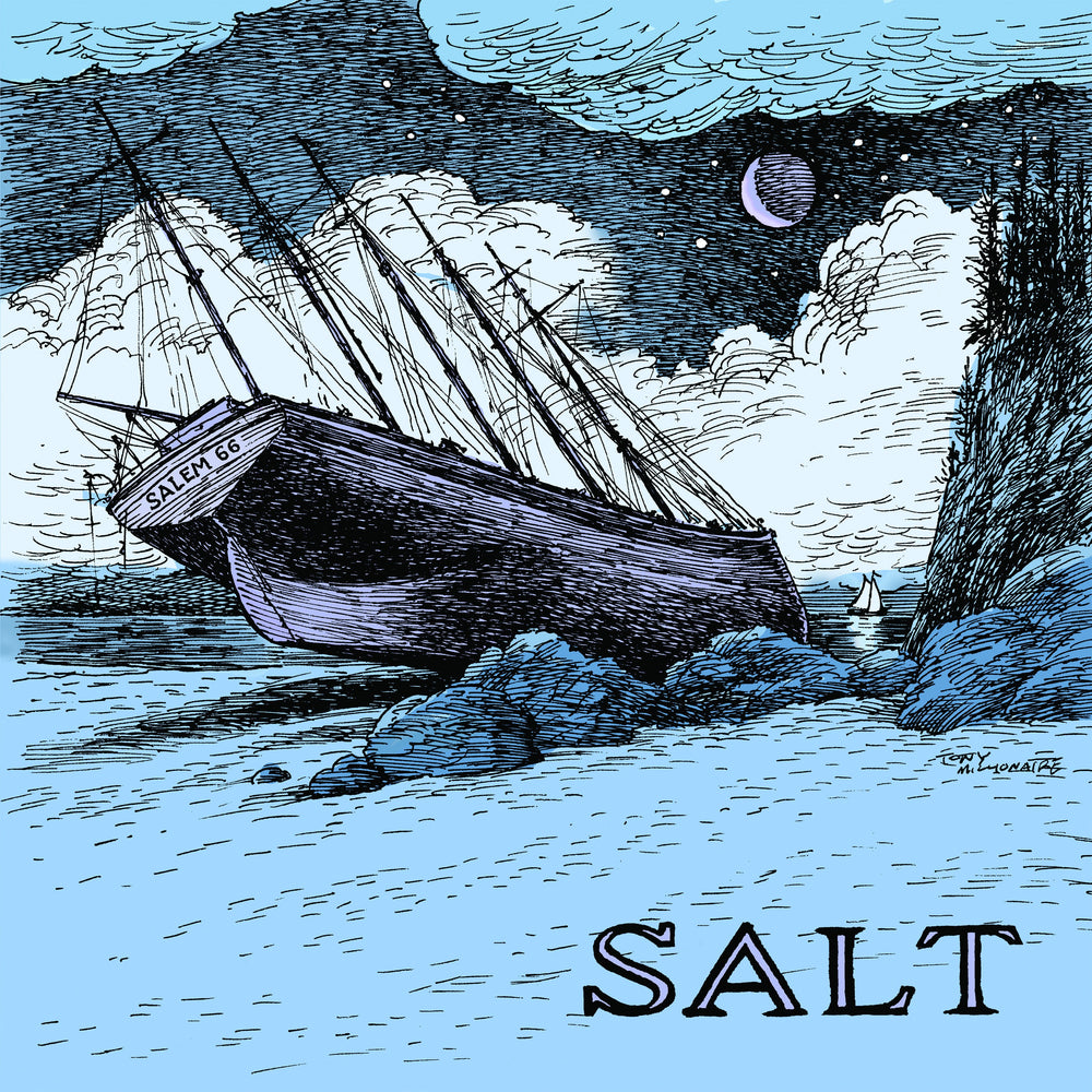 Salt [CD] (ONLINE ORDER ONLY)