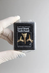 Sand Shark Tooth Fossil (ONLINE ORDER ONLY)