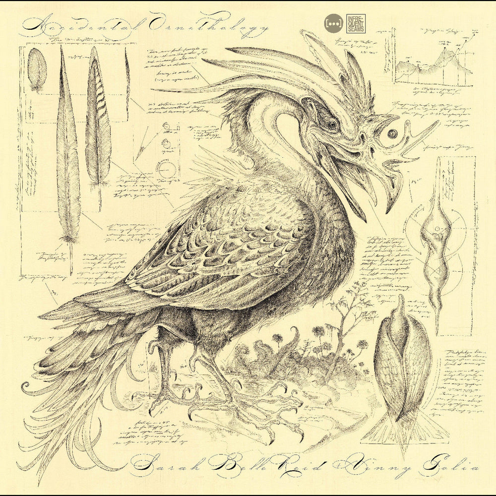 Accidental Ornithology [CD] (ONLINE ORDER ONLY)