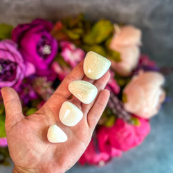 Tumbled Scolecite, Ethically Sourced Crystals (ONLINE ORDER ONLY)