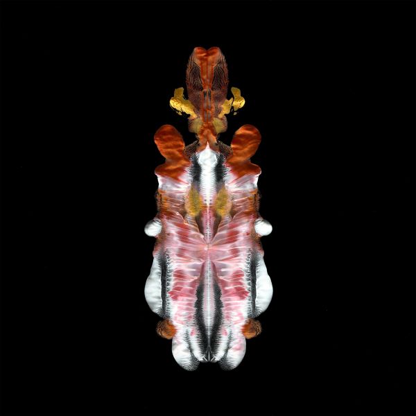 The Will To Burn [CD] (ONLINE ORDER ONLY)