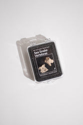 Sea Snake Vertebrae Fossil (ONLINE ORDER ONLY)