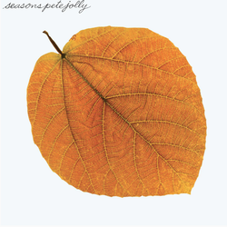 Seasons (Clear Amber) [Vinyl] (ONLINE ORDER ONLY)