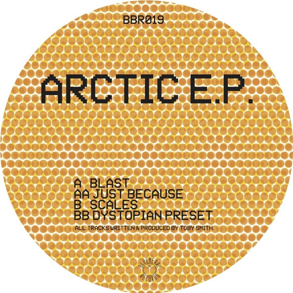 Arctic EP [Vinyl] (ONLINE ORDER ONLY)