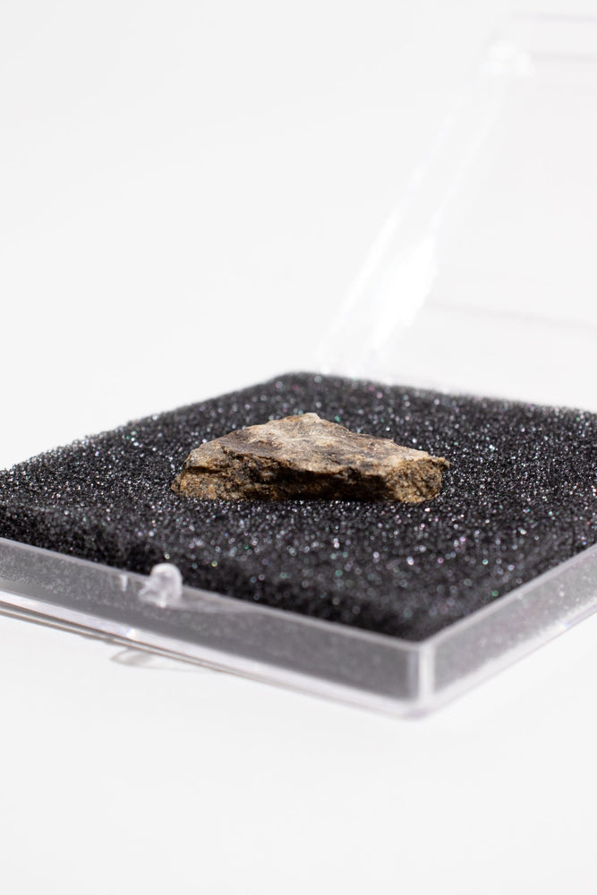 Shatter Cone (ONLINE ORDER ONLY)